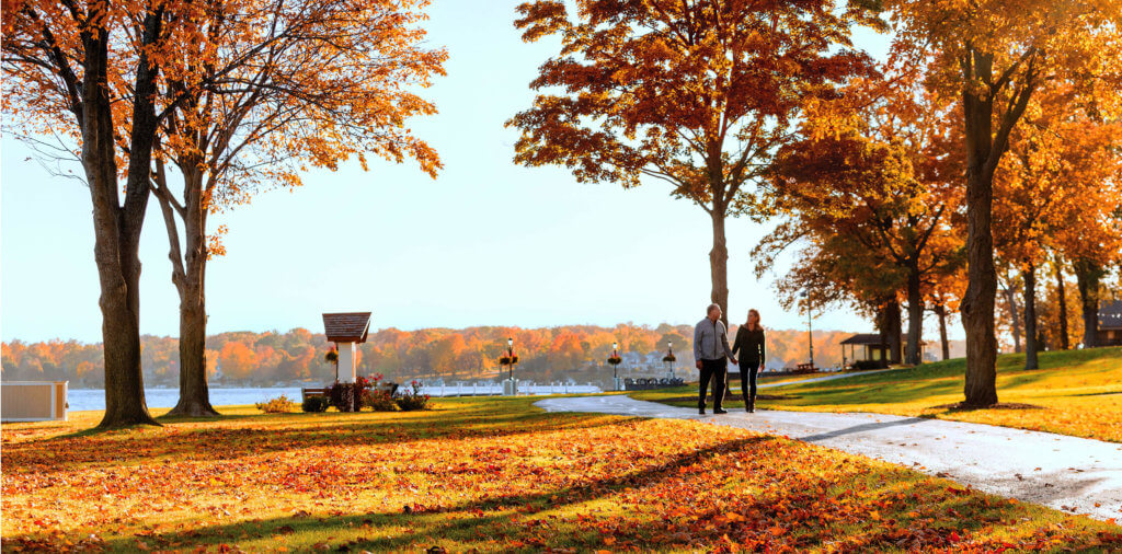 Fall colors