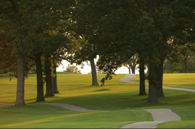 A golf course with trees. We see the cart part that used by golfers.
