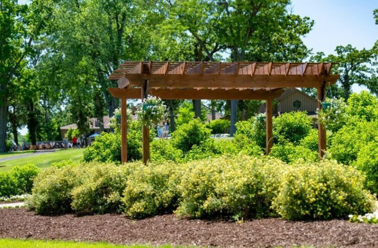 Spring time at Lake Lawn Resort. Beautiful flowers by the walkway for weddings.