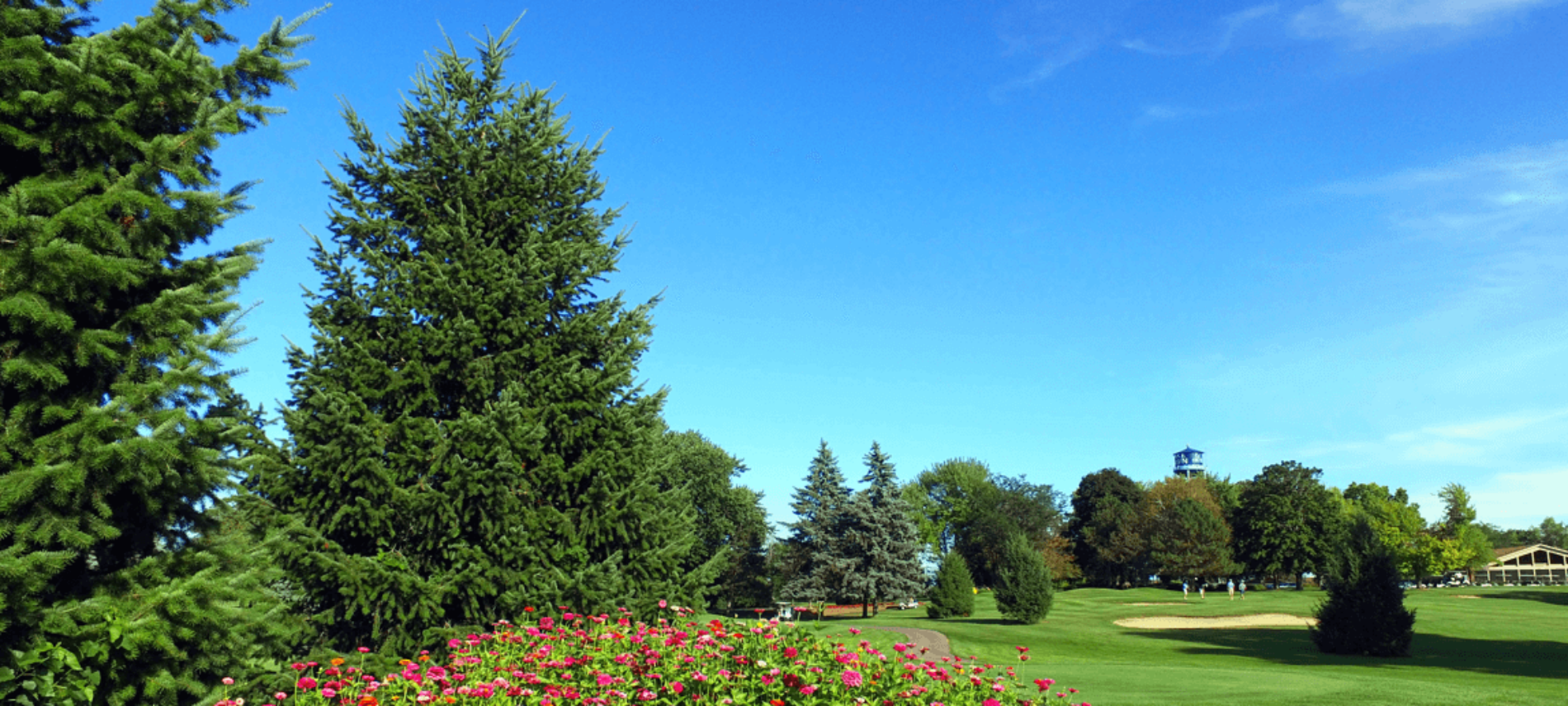 Majestic Oaks