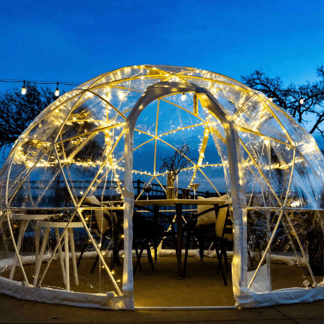 Igloo Dining Experience